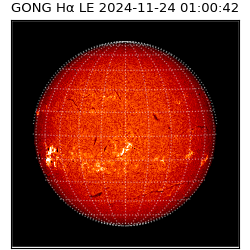 gong - 2024-11-24T01:00:42