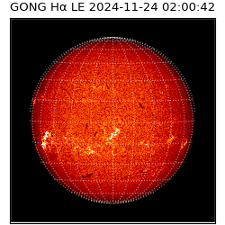 gong - 2024-11-24T02:00:42