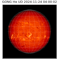 gong - 2024-11-24T04:00:02