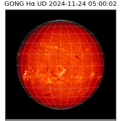gong - 2024-11-24T05:00:02