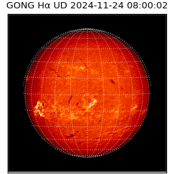 gong - 2024-11-24T08:00:02