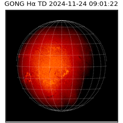 gong - 2024-11-24T09:01:22