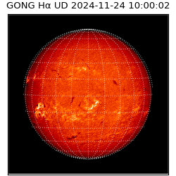 gong - 2024-11-24T10:00:02
