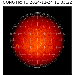 gong - 2024-11-24T11:03:22