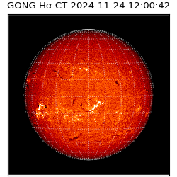 gong - 2024-11-24T12:00:42