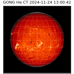 gong - 2024-11-24T13:00:42