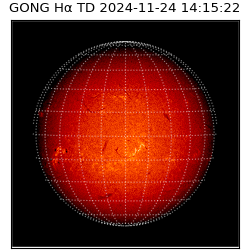 gong - 2024-11-24T14:15:22