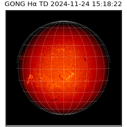 gong - 2024-11-24T15:18:22