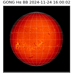 gong - 2024-11-24T16:00:02