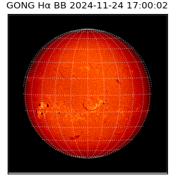 gong - 2024-11-24T17:00:02