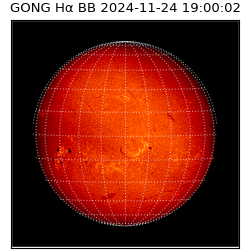 gong - 2024-11-24T19:00:02