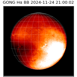 gong - 2024-11-24T21:00:02