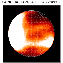gong - 2024-11-24T22:09:02