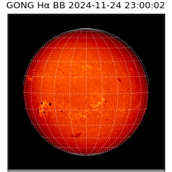 gong - 2024-11-24T23:00:02