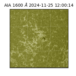 saia - 2024-11-25T12:00:14.126000