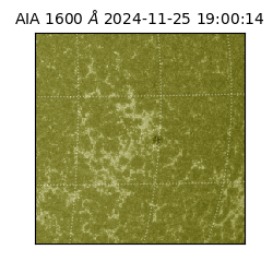 saia - 2024-11-25T19:00:14.133000