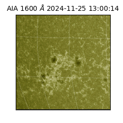 saia - 2024-11-25T13:00:14.126000