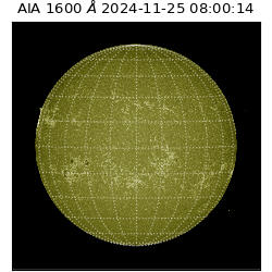 saia - 2024-11-25T08:00:14.122000