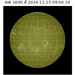 saia - 2024-11-25T09:00:14.125000