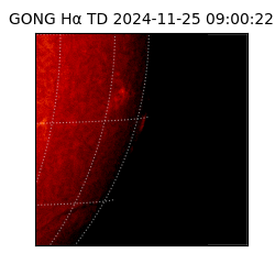gong - 2024-11-25T09:00:22