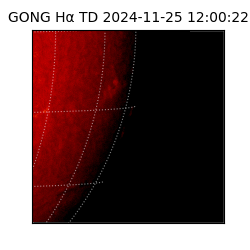 gong - 2024-11-25T12:00:22