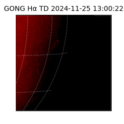 gong - 2024-11-25T13:00:22
