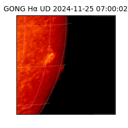 gong - 2024-11-25T07:00:02