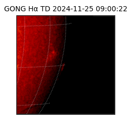 gong - 2024-11-25T09:00:22