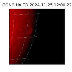 gong - 2024-11-25T12:00:22