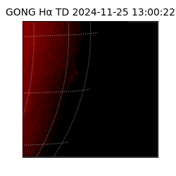 gong - 2024-11-25T13:00:22