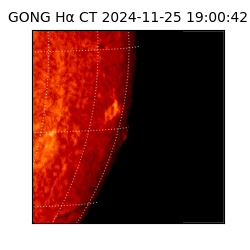 gong - 2024-11-25T19:00:42
