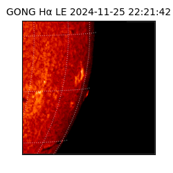 gong - 2024-11-25T22:21:42