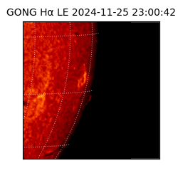 gong - 2024-11-25T23:00:42