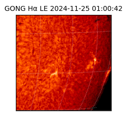 gong - 2024-11-25T01:00:42