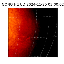 gong - 2024-11-25T03:00:02