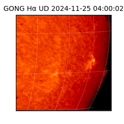 gong - 2024-11-25T04:00:02