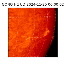 gong - 2024-11-25T06:00:02