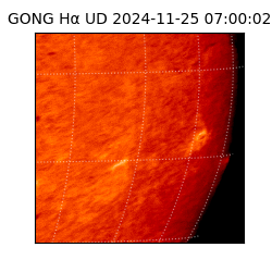 gong - 2024-11-25T07:00:02