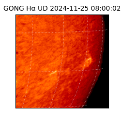 gong - 2024-11-25T08:00:02