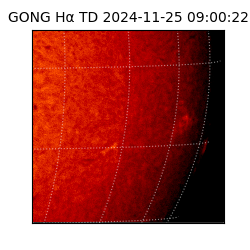 gong - 2024-11-25T09:00:22