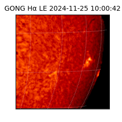 gong - 2024-11-25T10:00:42