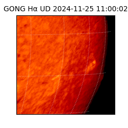 gong - 2024-11-25T11:00:02