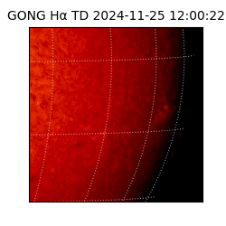 gong - 2024-11-25T12:00:22