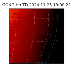 gong - 2024-11-25T13:00:22