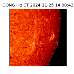 gong - 2024-11-25T14:00:42