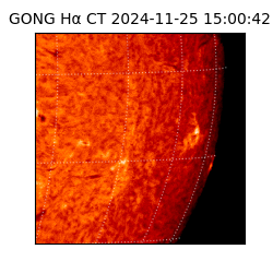 gong - 2024-11-25T15:00:42