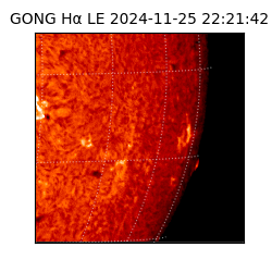 gong - 2024-11-25T22:21:42