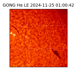 gong - 2024-11-25T01:00:42