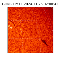 gong - 2024-11-25T02:00:42