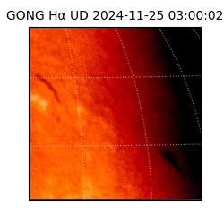gong - 2024-11-25T03:00:02